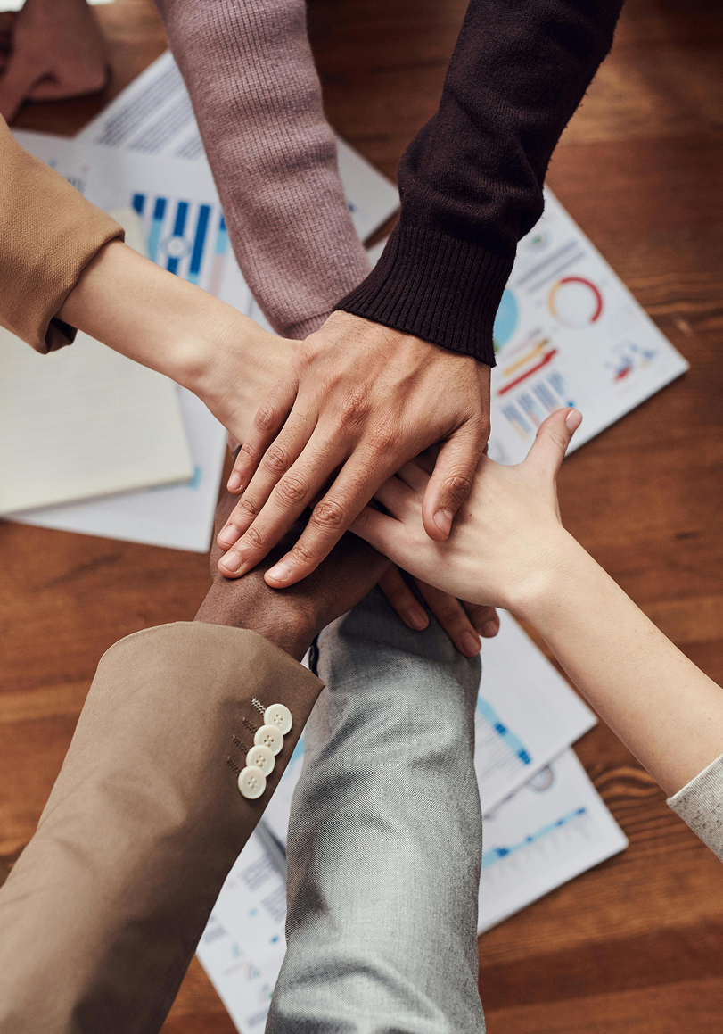 Biblioteca comprometida