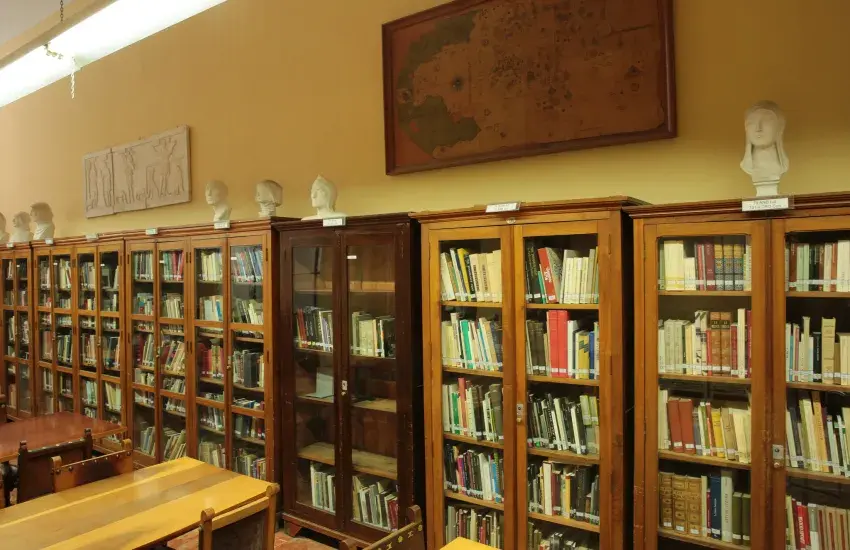 Explora la Colección